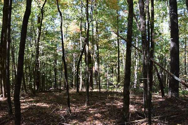 33 Acres of Agricultural Land for Sale in Ellijay, Georgia