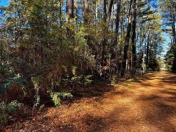 0.47 Acres of Land for Sale in Accomac, Virginia
