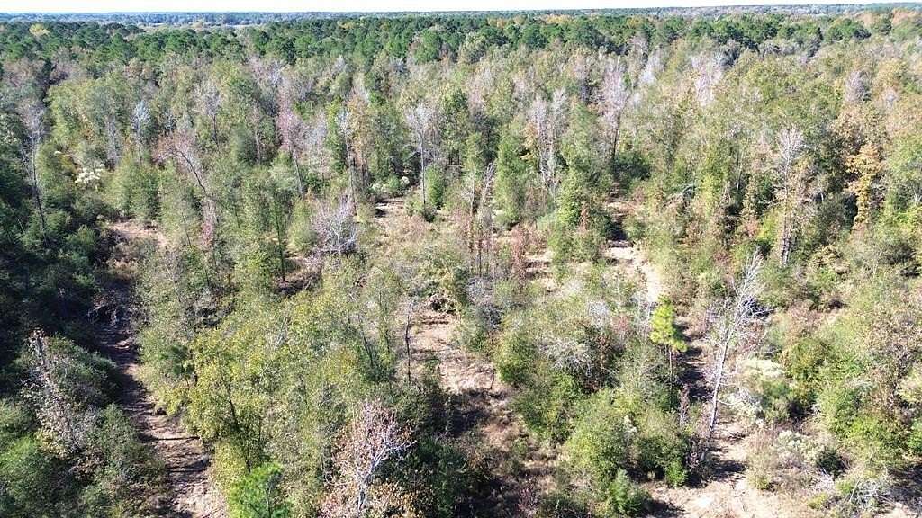 41.2 Acres of Recreational Land for Sale in Lovelady, Texas