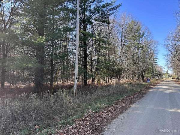 32.4 Acres of Recreational & Residential Land for Sale in Menominee, Michigan