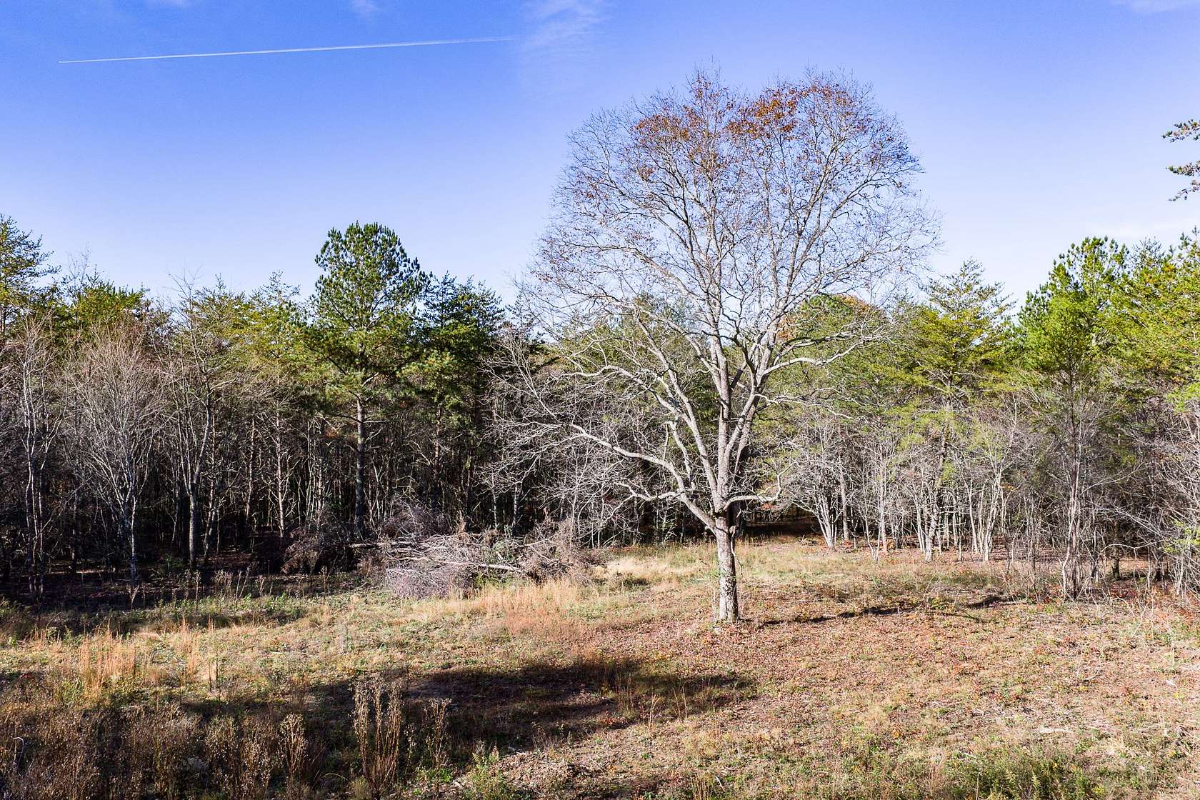 19.3 Acres of Recreational & Residential Land for Sale in Crossville, Tennessee