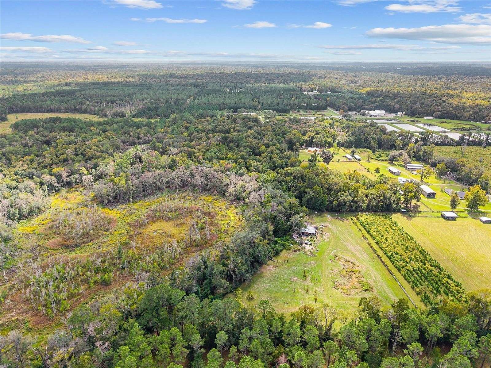 17.5 Acres of Recreational Land for Sale in Gainesville, Florida