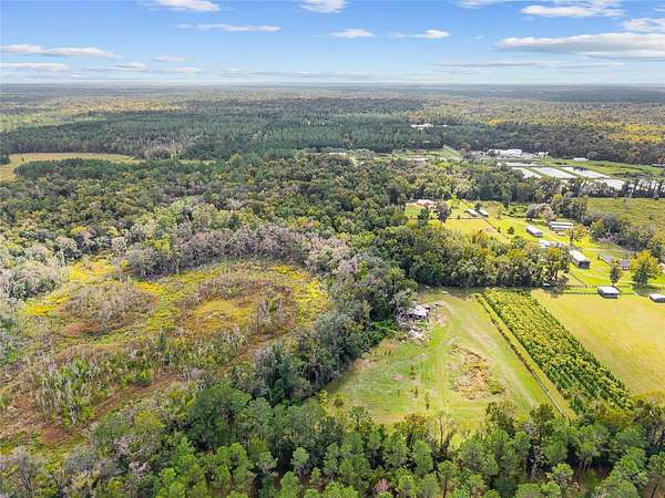 17.5 Acres of Recreational Land for Sale in Gainesville, Florida