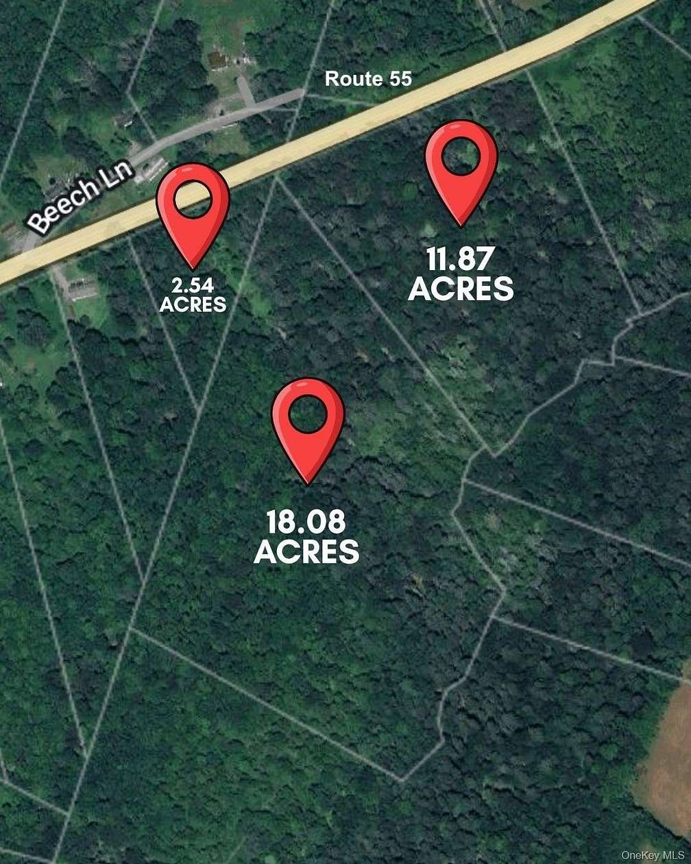 32.5 Acres of Recreational Land for Sale in Liberty, New York