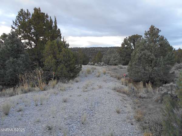 1 Acre of Land for Sale in Reno, Nevada