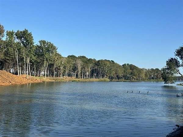 0.86 Acres of Residential Land for Sale in Frankston, Texas