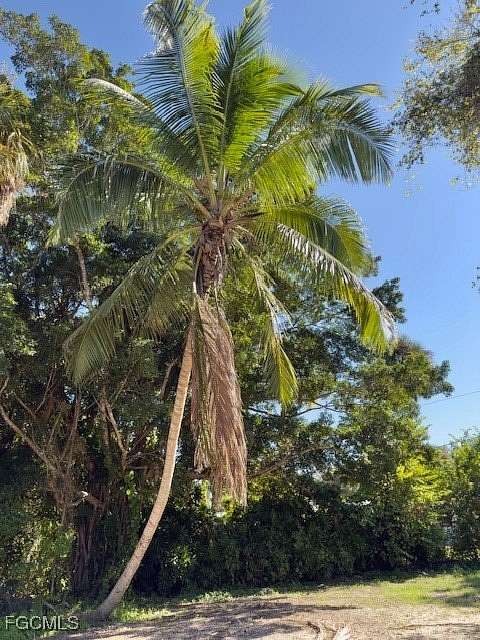 0.3 Acres of Residential Land for Sale in Fort Myers, Florida