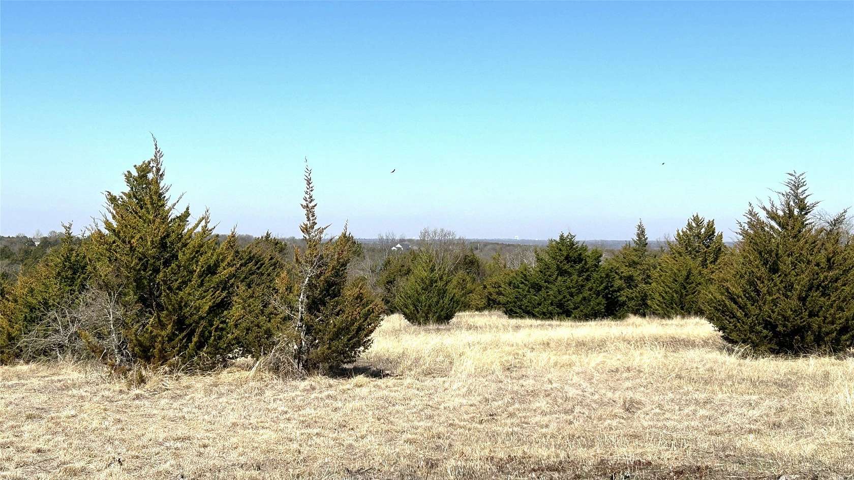 18.8 Acres of Land for Sale in Sherman, Texas
