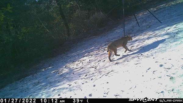 50.9 Acres of Land for Sale in Groesbeck, Texas