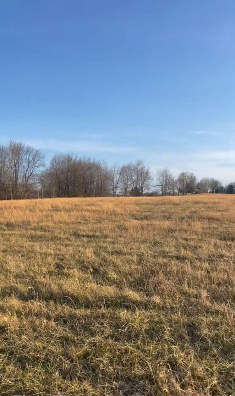 5.47 Acres of Residential Land for Sale in Portland, Tennessee