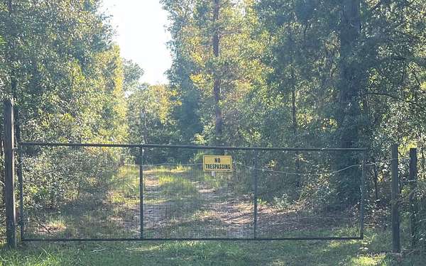 5 Acres of Residential Land for Sale in Lake City, Florida