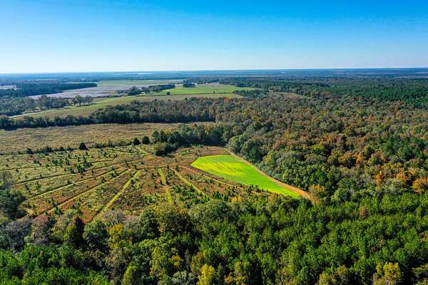 97.5 Acres of Recreational Land & Farm for Sale in Plains, Georgia