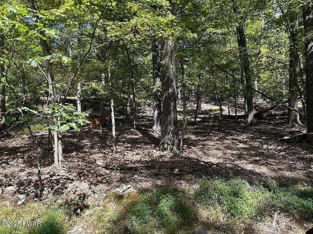 2 Acres of Residential Land for Sale in Lakeville, Pennsylvania