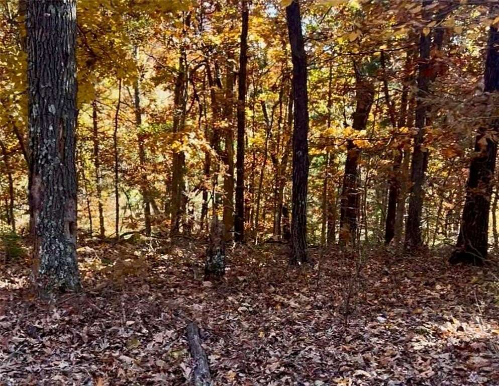 0.3 Acres of Land for Sale in Bella Vista, Arkansas