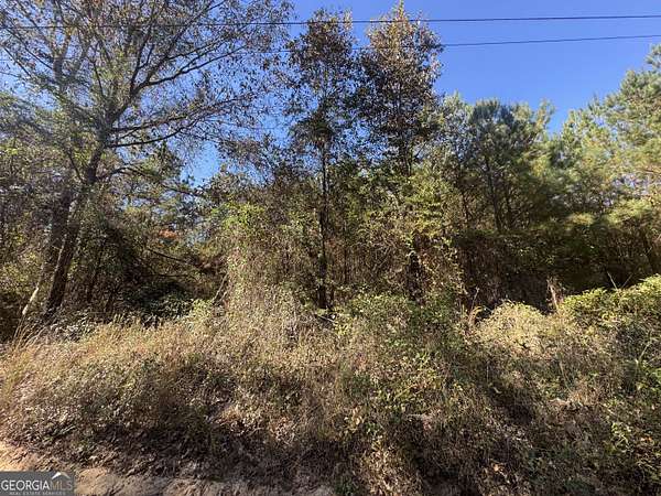 1.67 Acres of Land for Sale in Fort Valley, Georgia