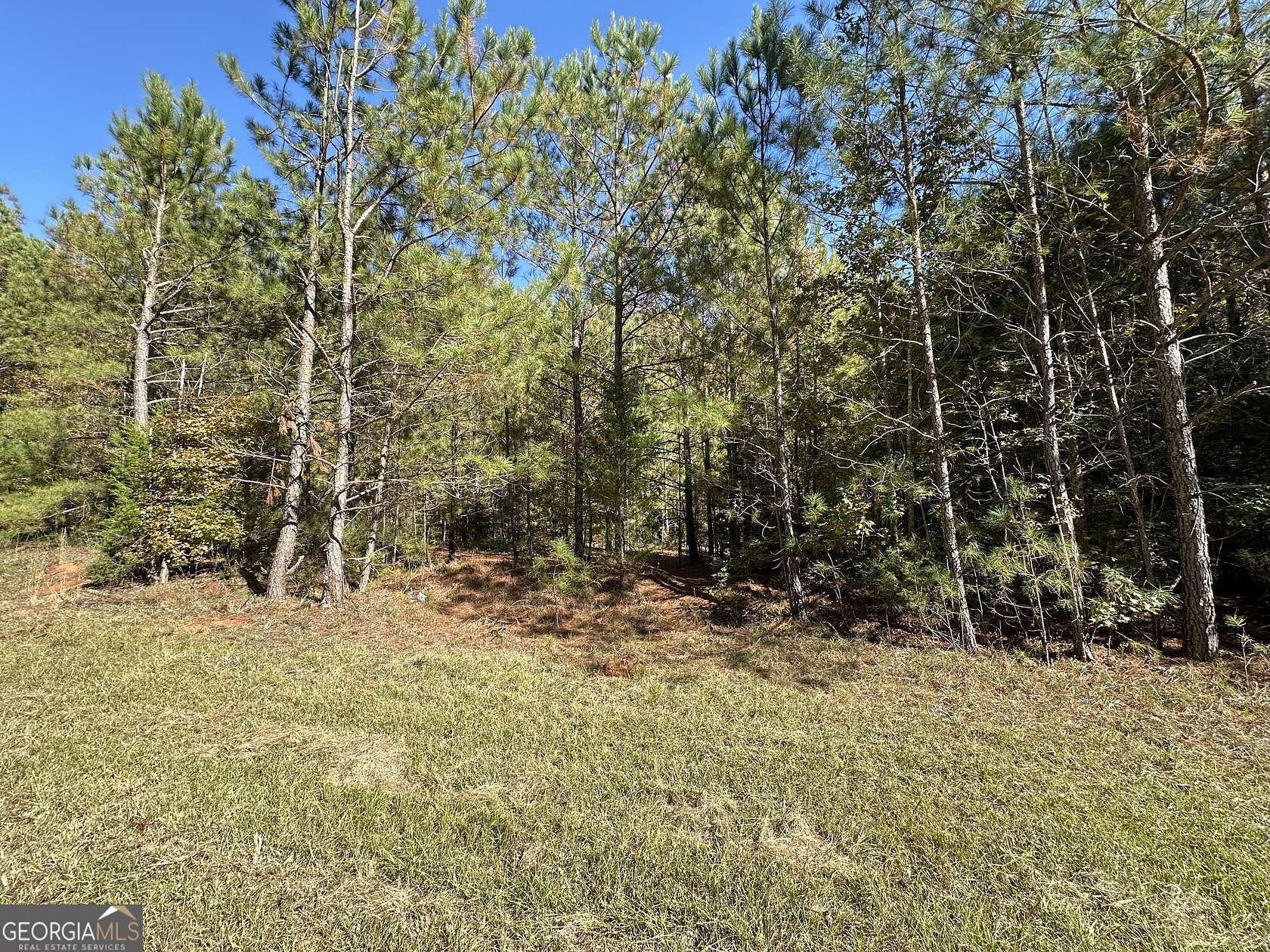 73.9 Acres of Agricultural Land for Sale in Lincolnton, Georgia