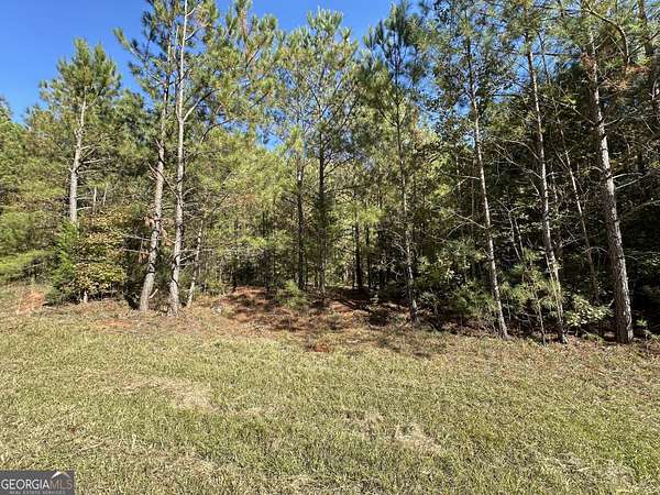 73.9 Acres of Agricultural Land for Sale in Lincolnton, Georgia