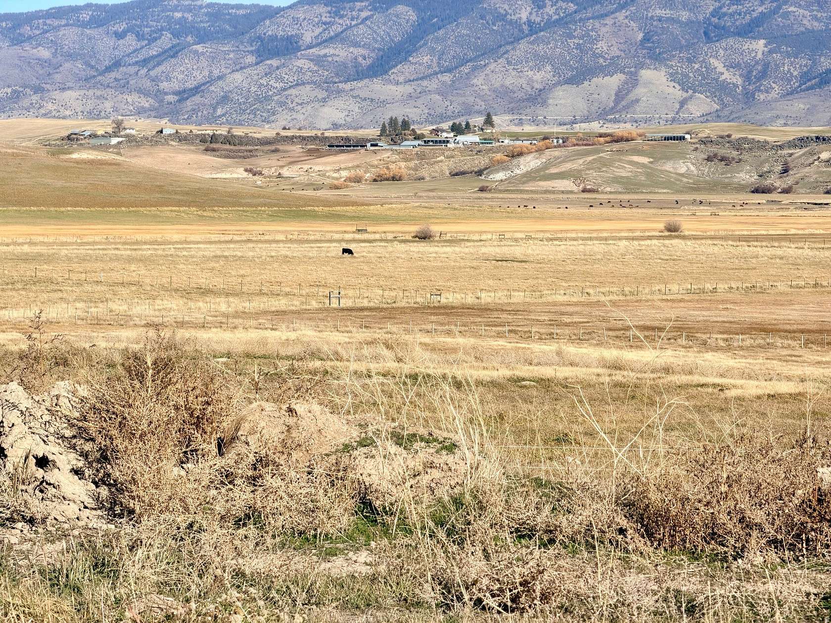6.23 Acres of Agricultural Land for Sale in Grace, Idaho