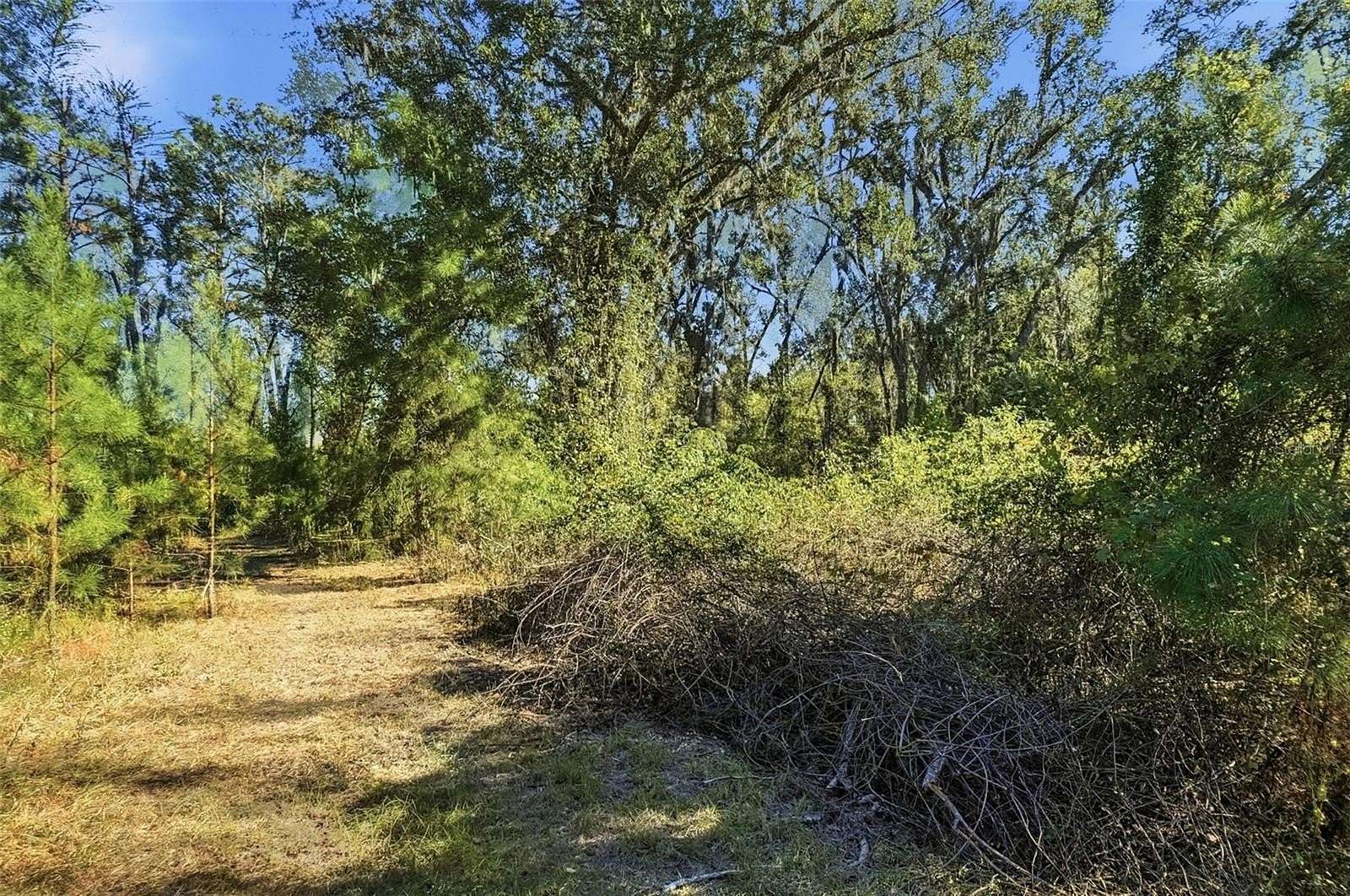 10.5 Acres of Land for Sale in Greenville, Florida