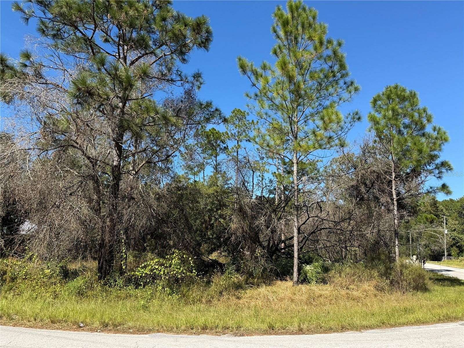 1 Acre of Residential Land for Sale in Wesley Chapel, Florida