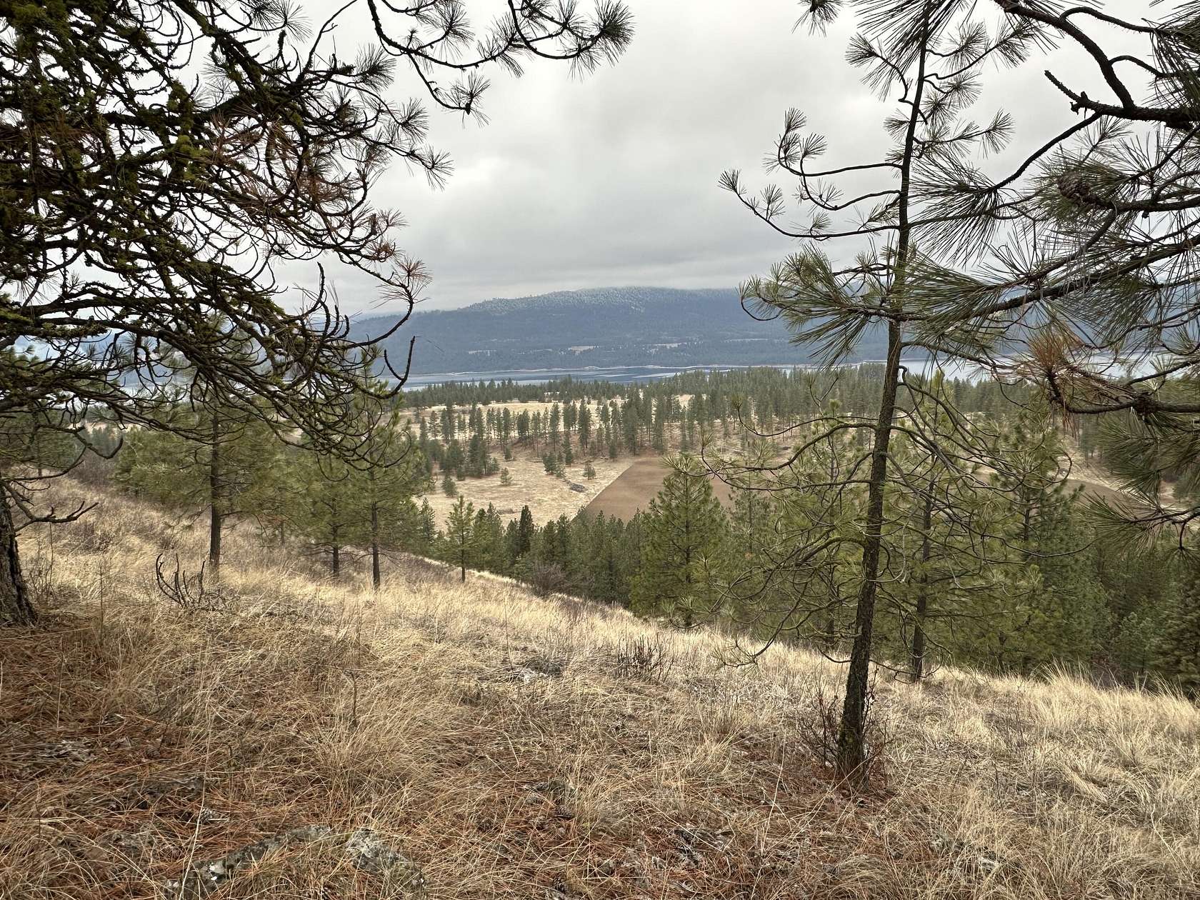 23.6 Acres of Recreational Land for Sale in Rice, Washington