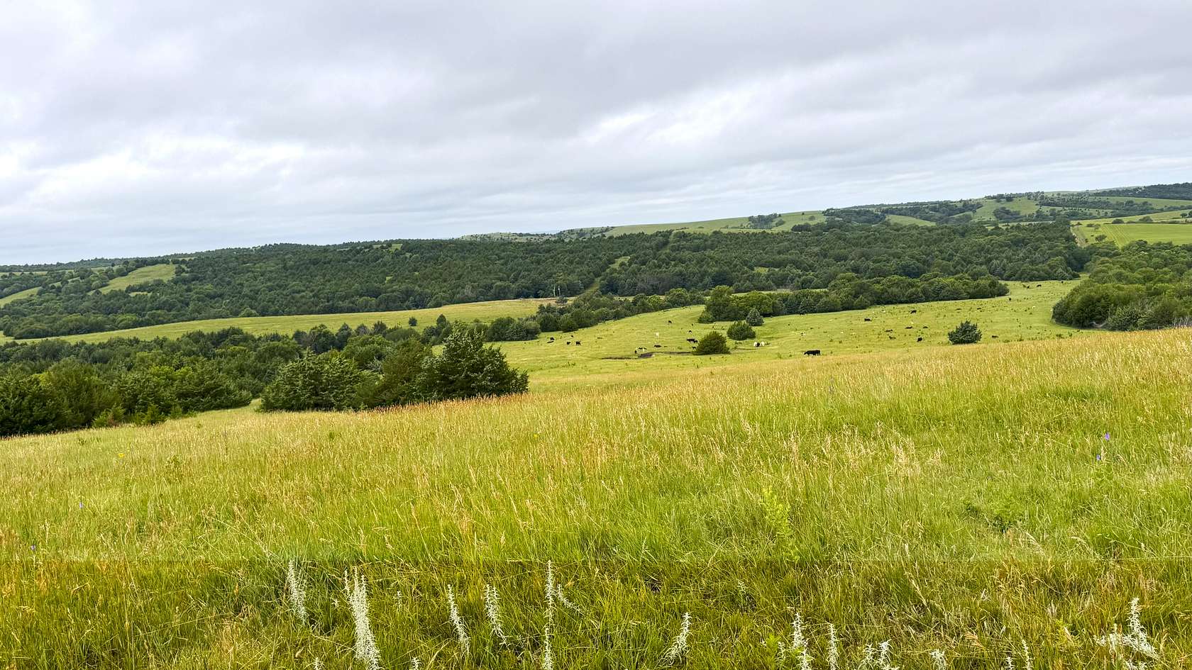 2,000 Acres of Land for Sale in Sargent, Nebraska
