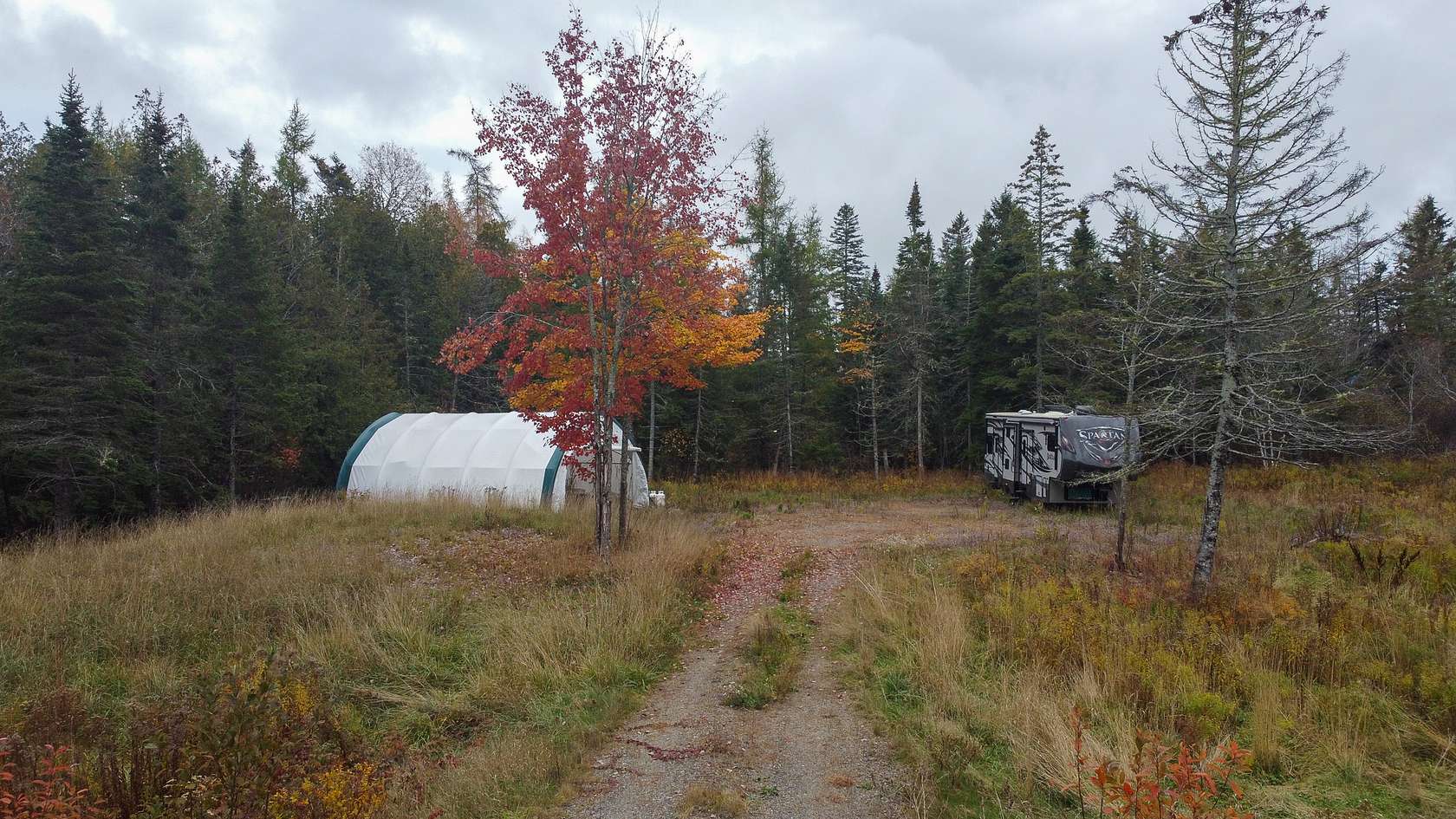 3 Acres of Agricultural Land for Sale in Dennysville, Maine