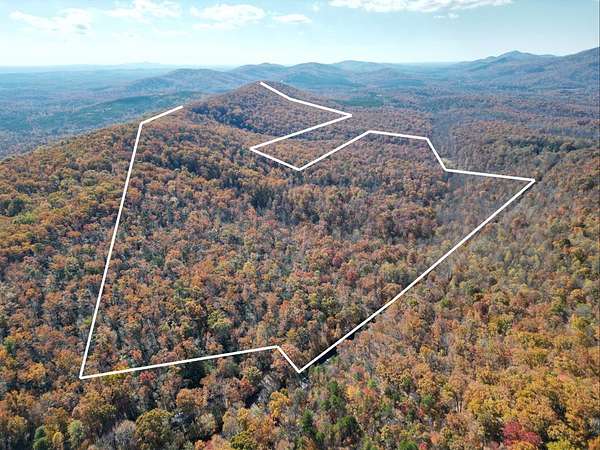 295 Acres of Land for Sale in Faber, Virginia