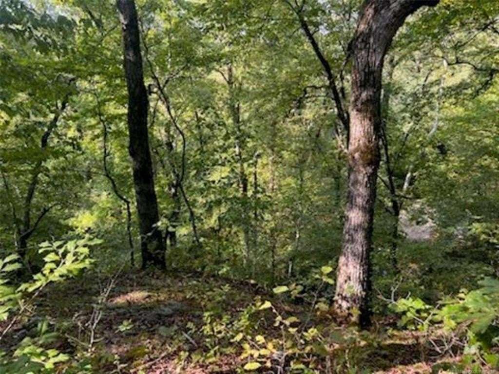 5 Acres of Land for Sale in Broken Bow, Oklahoma