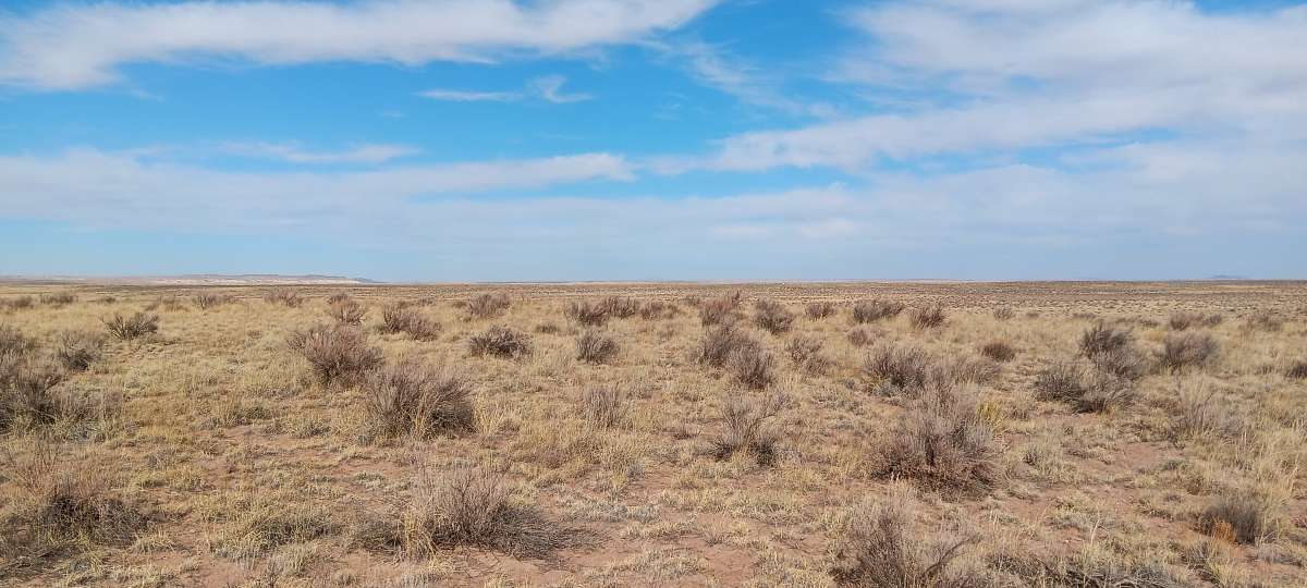 40 Acres of Land for Sale in Chambers, Arizona