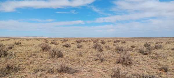40 Acres of Land for Sale in Chambers, Arizona