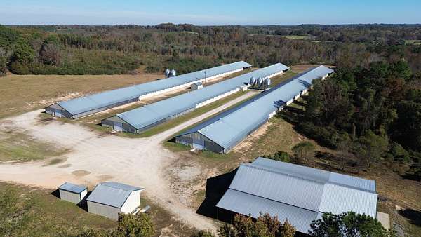 82 Acres of Improved Land for Sale in Hackleburg, Alabama