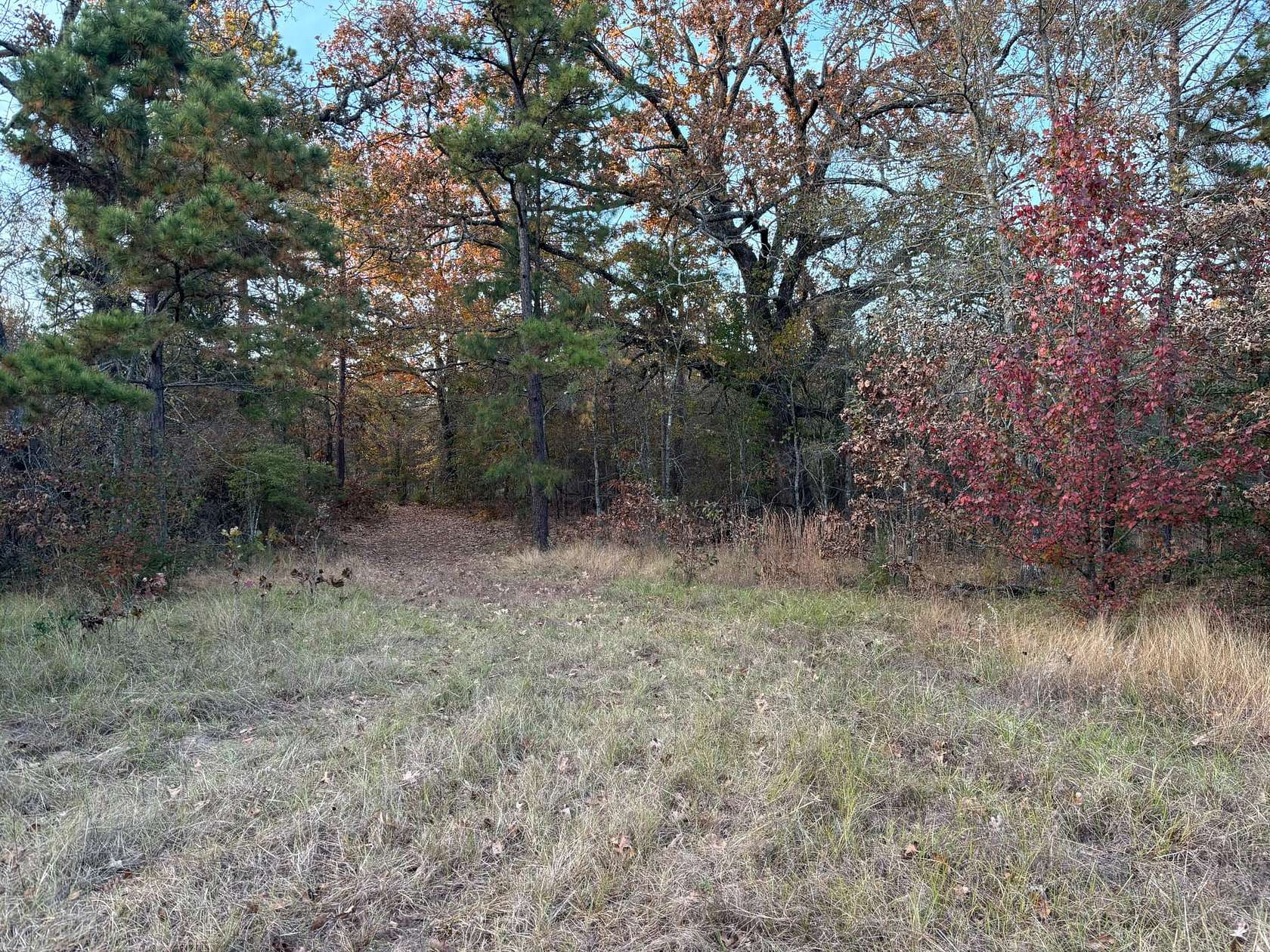 34 Acres of Recreational Land & Farm for Sale in Fort Towson, Oklahoma