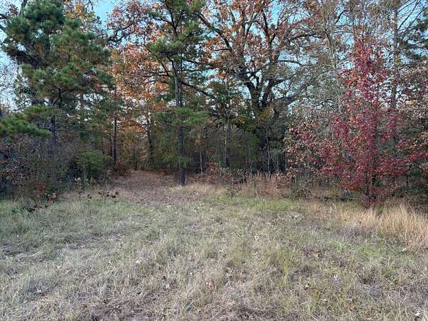 34 Acres of Recreational Land & Farm for Sale in Fort Towson, Oklahoma