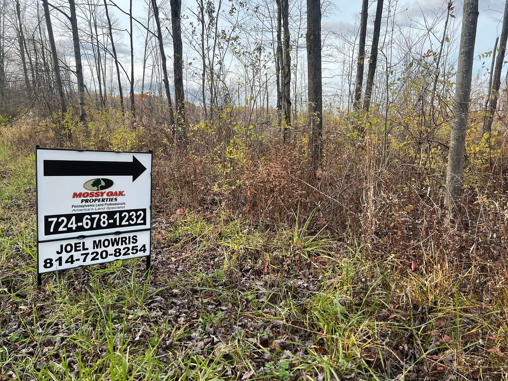 35 Acres of Recreational Land for Sale in Albion, Pennsylvania