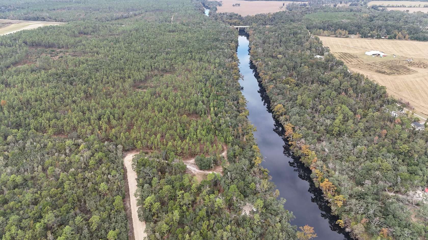 1.17 Acres of Land for Sale in Pinetta, Florida