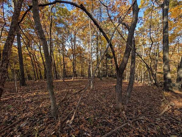 6.23 Acres of Land for Sale in Rogers, Arkansas