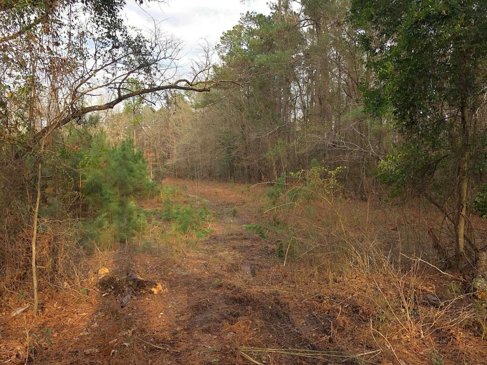 9.4 Acres of Residential Land for Sale in North, South Carolina
