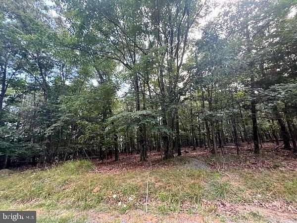 5 Acres of Residential Land for Sale in Gore, Virginia