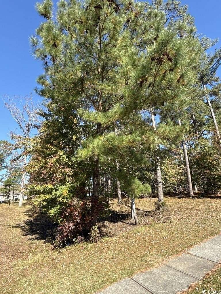 0.52 Acres of Residential Land for Sale in Myrtle Beach, South Carolina