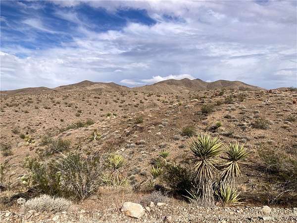37.9 Acres of Recreational Land for Sale in White Hills, Arizona