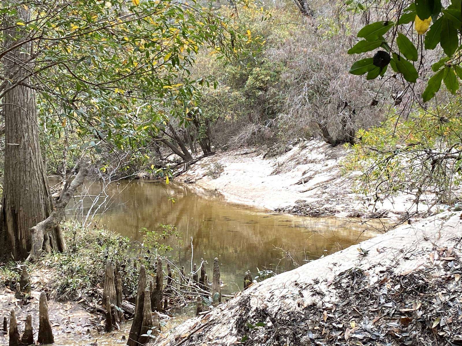 217 Acres of Recreational Land for Sale in Stockton, Alabama