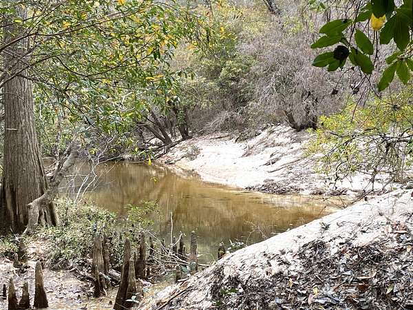 217 Acres of Recreational Land for Sale in Stockton, Alabama