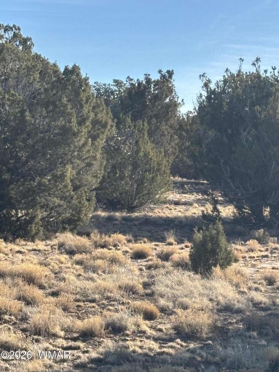 1 Acre of Residential Land for Sale in Concho, Arizona