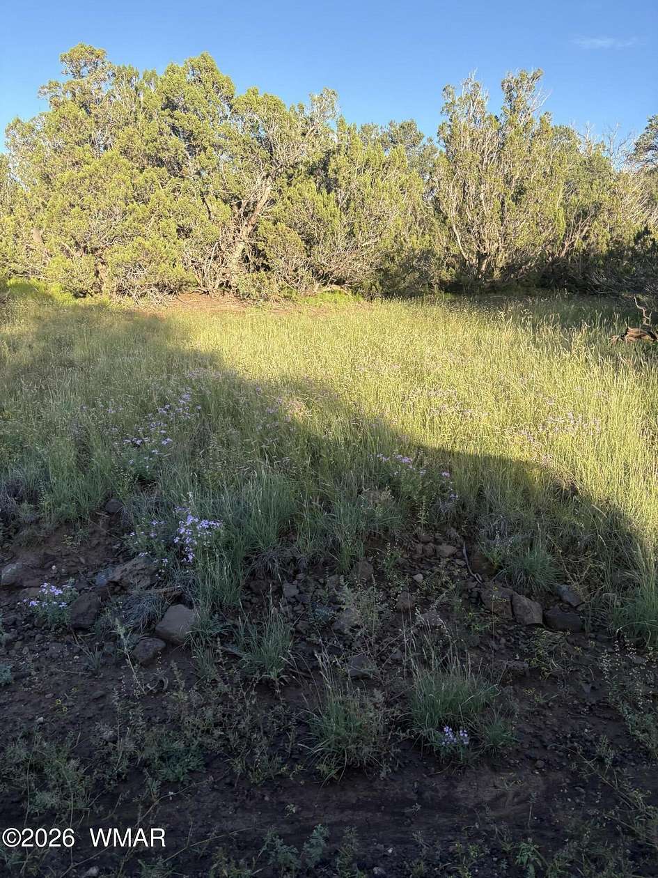 1 Acre of Residential Land for Sale in Concho, Arizona