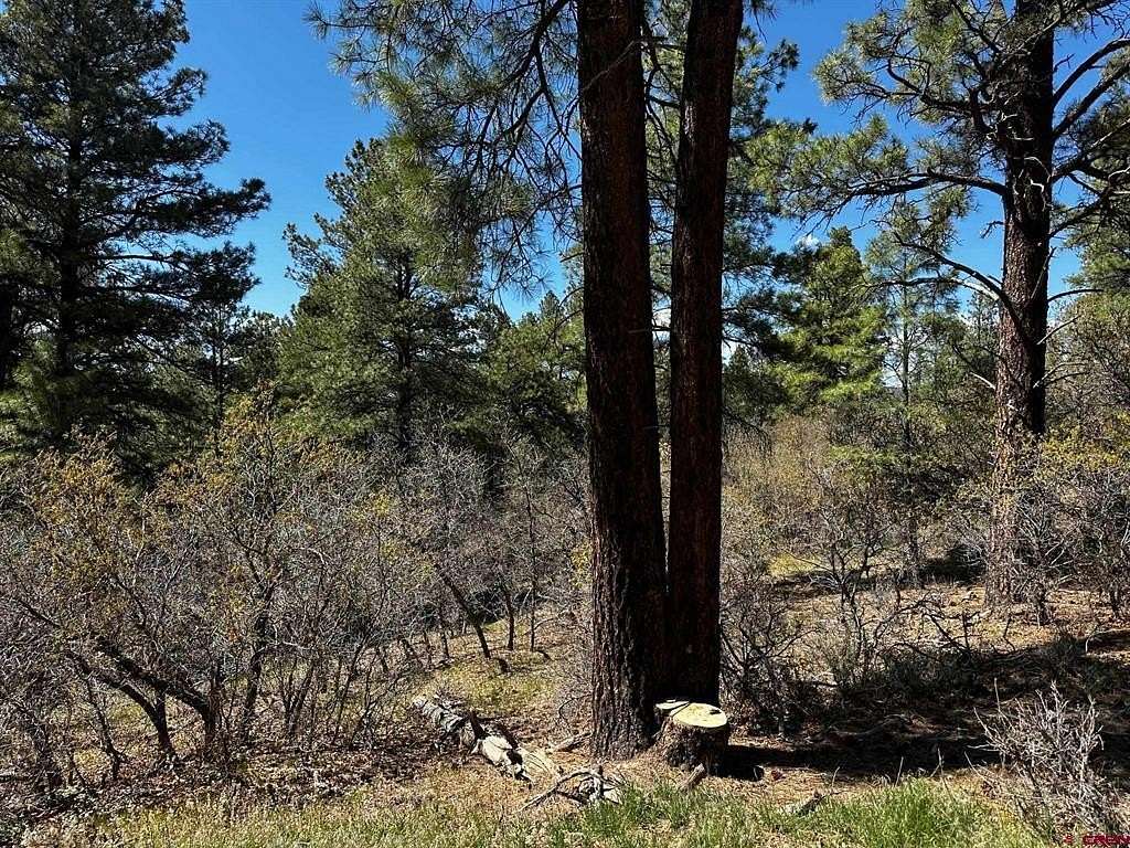 1.3 Acres of Residential Land for Sale in Pagosa Springs, Colorado