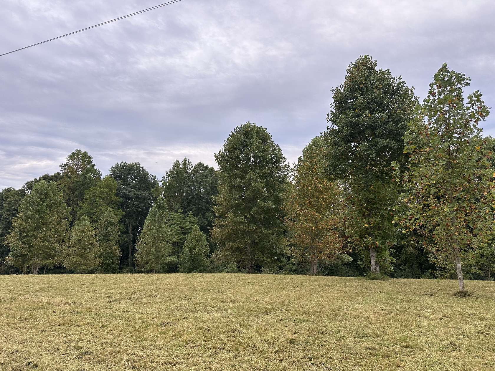 1 Acre of Residential Land for Sale in Lynchburg, Tennessee