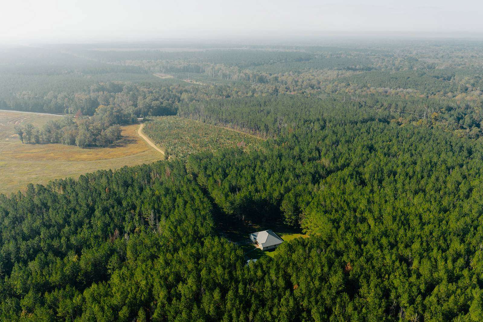 117 Acres of Land for Sale in Bogue Chitto, Mississippi
