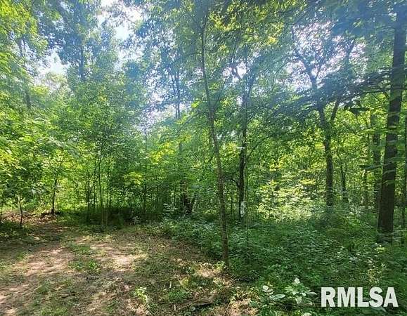 39 Acres of Agricultural Land for Sale in Fairfield, Illinois