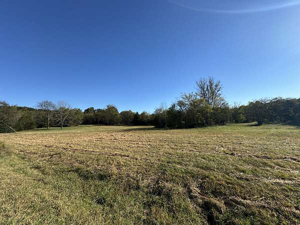 41.5 Acres of Land for Sale in College Grove, Tennessee